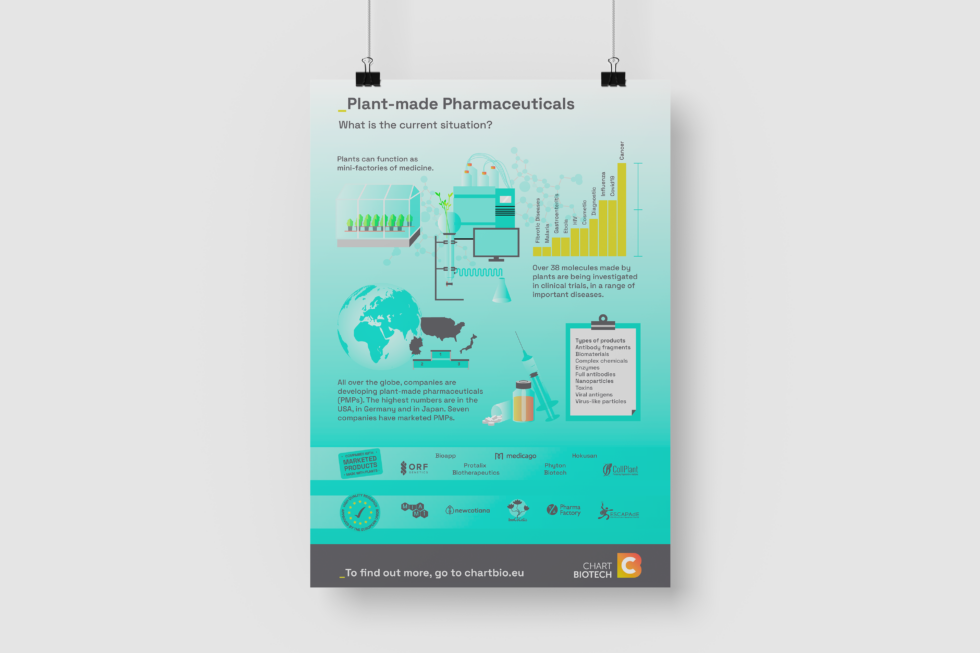 Biotech Infographic - Maja Cronert